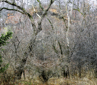 Rouge Valley