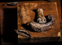 Scylla and Odysseaus' Mushroom Boat